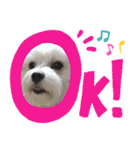 Happyの日常生活♪（個別スタンプ：4）