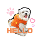 Happyの日常生活♪（個別スタンプ：6）