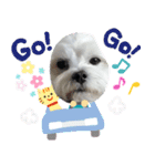 Happyの日常生活♪（個別スタンプ：10）
