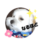 Happyの日常生活♪（個別スタンプ：15）