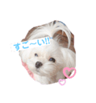 おんなのさしすせそ（個別スタンプ：3）