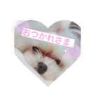 おんなのさしすせそ（個別スタンプ：4）