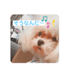 おんなのさしすせそ（個別スタンプ：5）