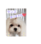 おんなのさしすせそ（個別スタンプ：6）
