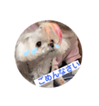 おんなのさしすせそ（個別スタンプ：8）
