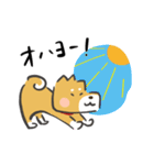 ただいま！柴犬（個別スタンプ：9）