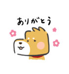 ただいま！柴犬（個別スタンプ：11）