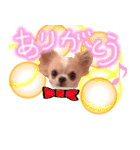 ルルちゃん今日も元気（個別スタンプ：12）