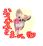 ルルちゃん今日も元気（個別スタンプ：19）