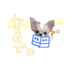 ルルちゃん今日も元気（個別スタンプ：20）