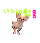 ルルちゃん今日も元気（個別スタンプ：32）