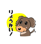 ミニチュアダックスのチョコくん（個別スタンプ：1）