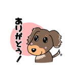ミニチュアダックスのチョコくん（個別スタンプ：2）