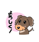 ミニチュアダックスのチョコくん（個別スタンプ：4）