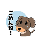 ミニチュアダックスのチョコくん（個別スタンプ：5）