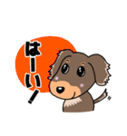 ミニチュアダックスのチョコくん（個別スタンプ：6）