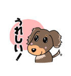 ミニチュアダックスのチョコくん（個別スタンプ：9）