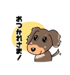 ミニチュアダックスのチョコくん（個別スタンプ：11）