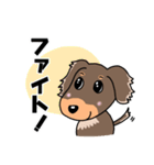 ミニチュアダックスのチョコくん（個別スタンプ：13）