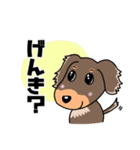 ミニチュアダックスのチョコくん（個別スタンプ：15）