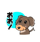 ミニチュアダックスのチョコくん（個別スタンプ：17）
