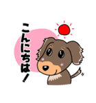 ミニチュアダックスのチョコくん（個別スタンプ：19）