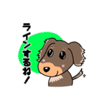 ミニチュアダックスのチョコくん（個別スタンプ：20）