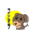 ミニチュアダックスのチョコくん（個別スタンプ：21）