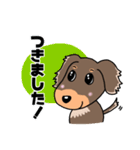 ミニチュアダックスのチョコくん（個別スタンプ：22）