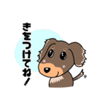 ミニチュアダックスのチョコくん（個別スタンプ：25）