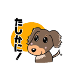 ミニチュアダックスのチョコくん（個別スタンプ：26）