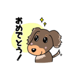 ミニチュアダックスのチョコくん（個別スタンプ：28）