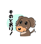 ミニチュアダックスのチョコくん（個別スタンプ：29）