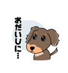 ミニチュアダックスのチョコくん（個別スタンプ：30）