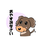 ミニチュアダックスのチョコくん（個別スタンプ：31）