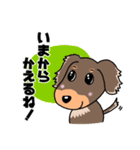 ミニチュアダックスのチョコくん（個別スタンプ：33）