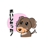 ミニチュアダックスのチョコくん（個別スタンプ：34）