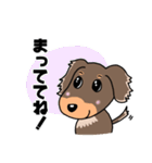 ミニチュアダックスのチョコくん（個別スタンプ：38）