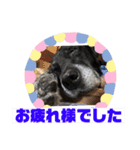 毎日ロック（個別スタンプ：3）