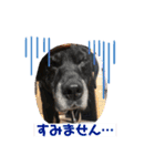 毎日ロック（個別スタンプ：4）