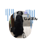 毎日ロック（個別スタンプ：13）