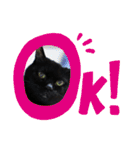 黒猫のアリスのスタンプ！12766584修正版（個別スタンプ：2）