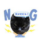 黒猫のアリスのスタンプ！12766584修正版（個別スタンプ：3）
