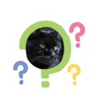 黒猫のアリスのスタンプ！12766584修正版（個別スタンプ：6）