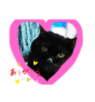 黒猫のアリスのスタンプ！12766584修正版（個別スタンプ：8）