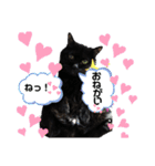 黒猫のアリスのスタンプ！12766584修正版（個別スタンプ：20）