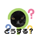 黒猫のアリスのスタンプ！12766584修正版（個別スタンプ：23）