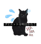 黒猫のアリスのスタンプ！12766584修正版（個別スタンプ：25）