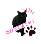黒猫のアリスのスタンプ！12766584修正版（個別スタンプ：26）