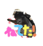黒猫のアリスのスタンプ！12766584修正版（個別スタンプ：31）